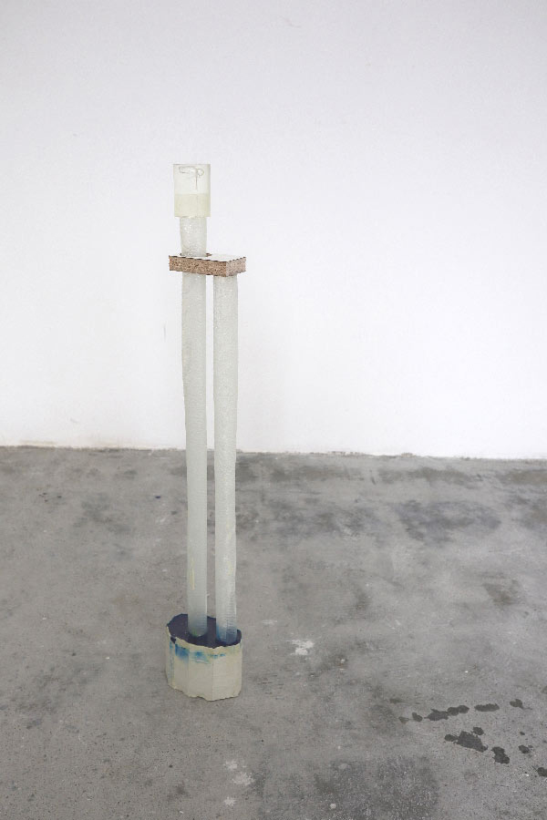 Aktion direkt Stefan Brandmayr